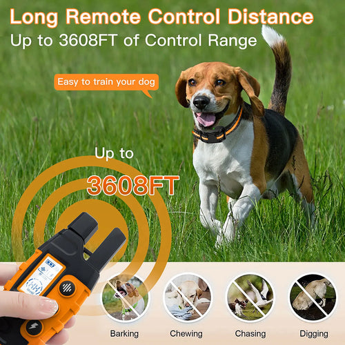 Electric Dog Training Collar .