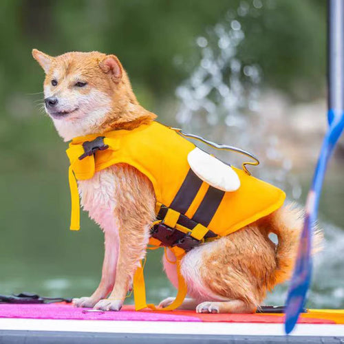 Dog Reflective Jacket