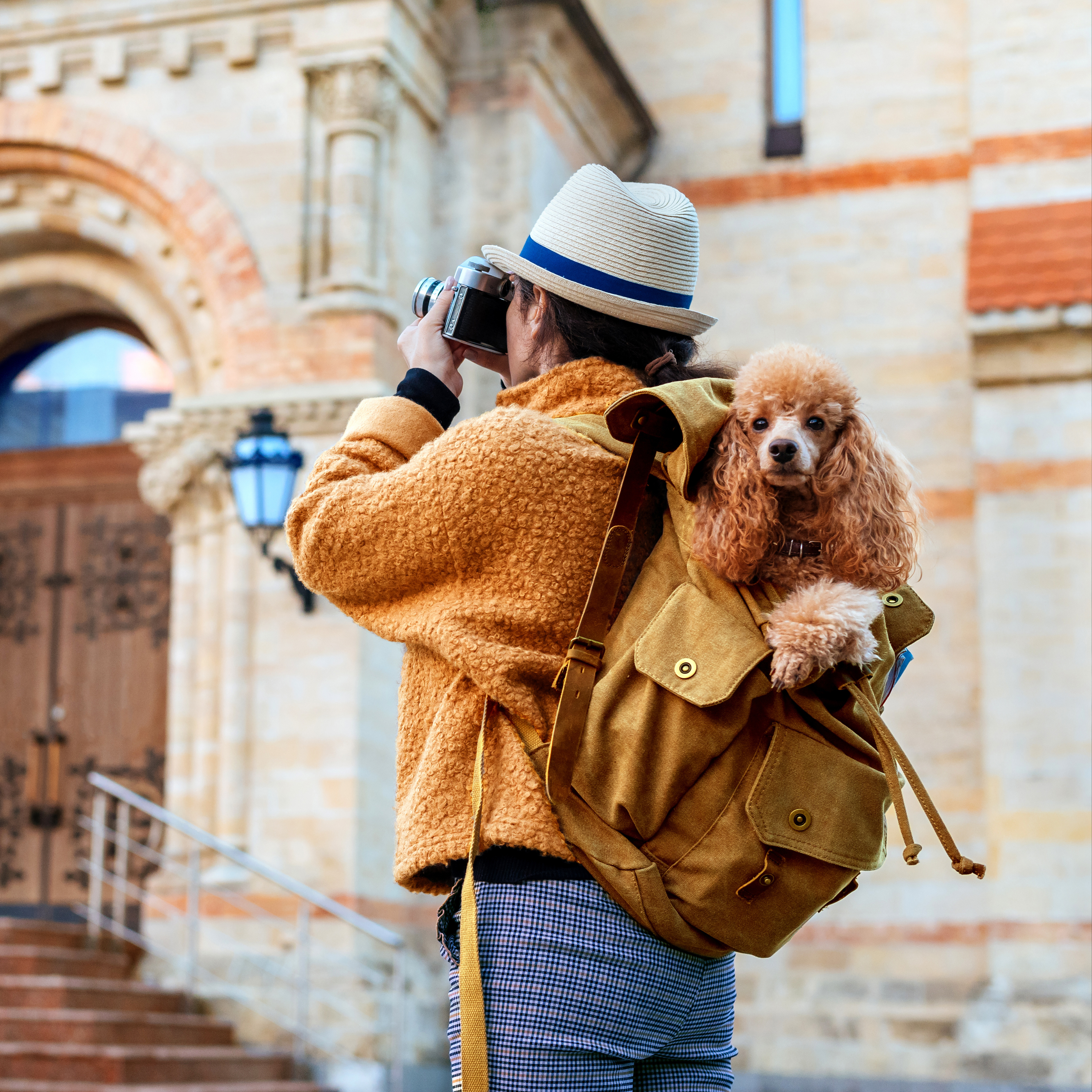 Why Pet Travel Bags Are a Must-Have for Pet Parents