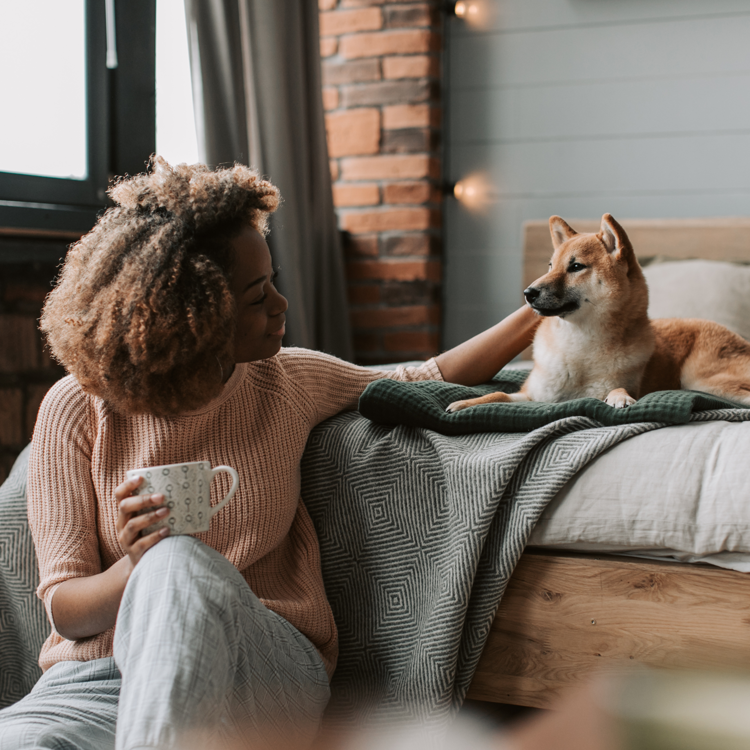 Creating a Cozy Sleep Space for Your Pet: Pet Beds & Mats