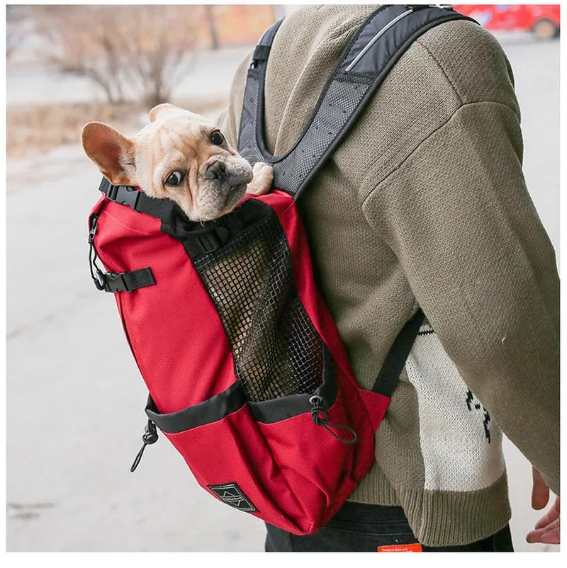 Sporty Dog Travel Backpack