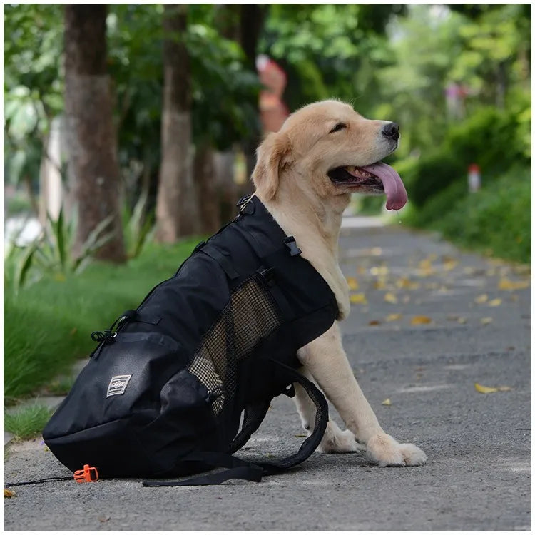 Sporty Dog Travel Backpack