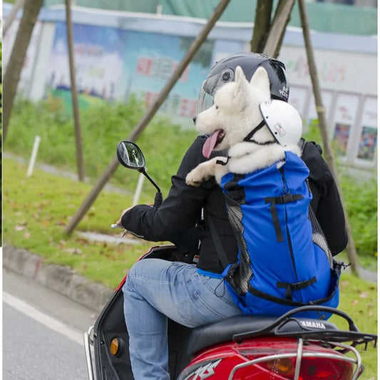 Sporty Dog Travel Backpack