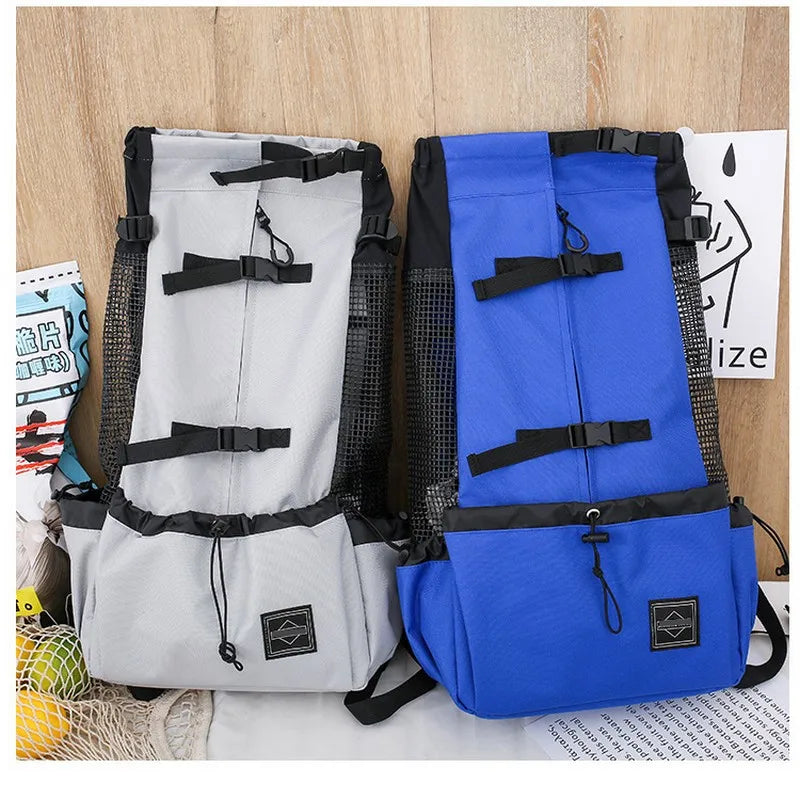 Sporty Dog Travel Backpack