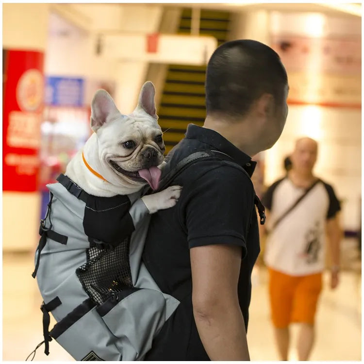 Sporty Dog Travel Backpack