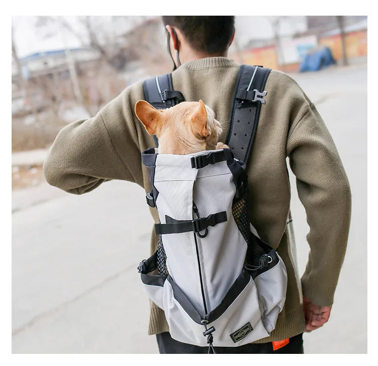 Sporty Dog Travel Backpack