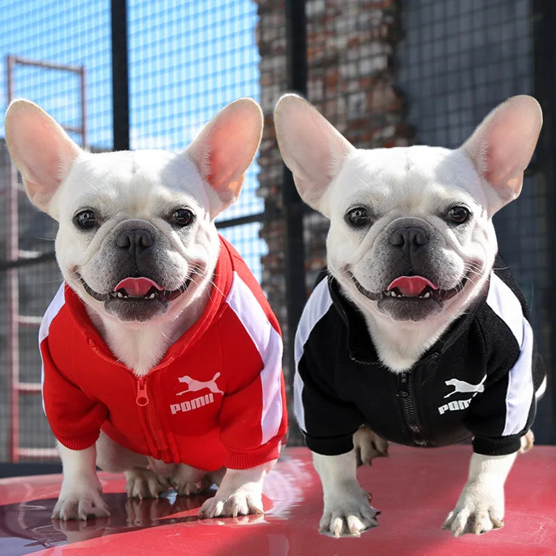 Baseball Dog Jacket