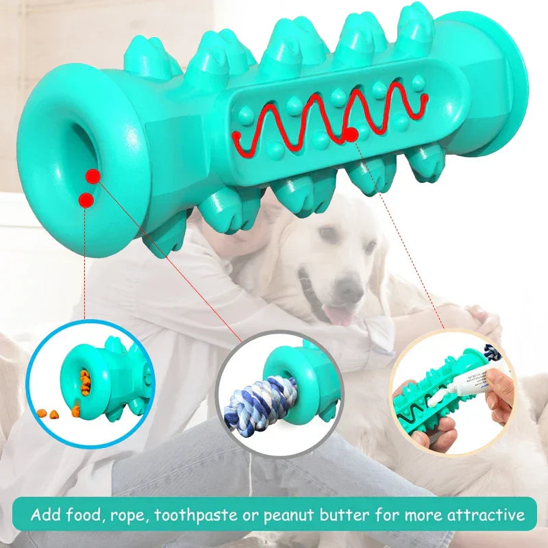 Dog Toothbrush Toy