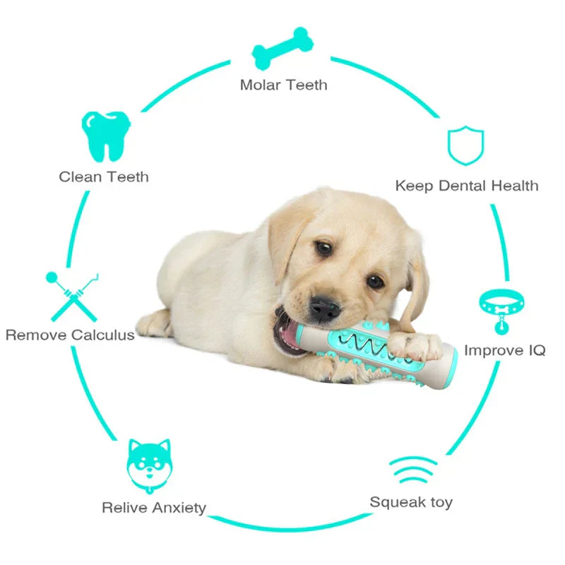 Dog Toothbrush Toy