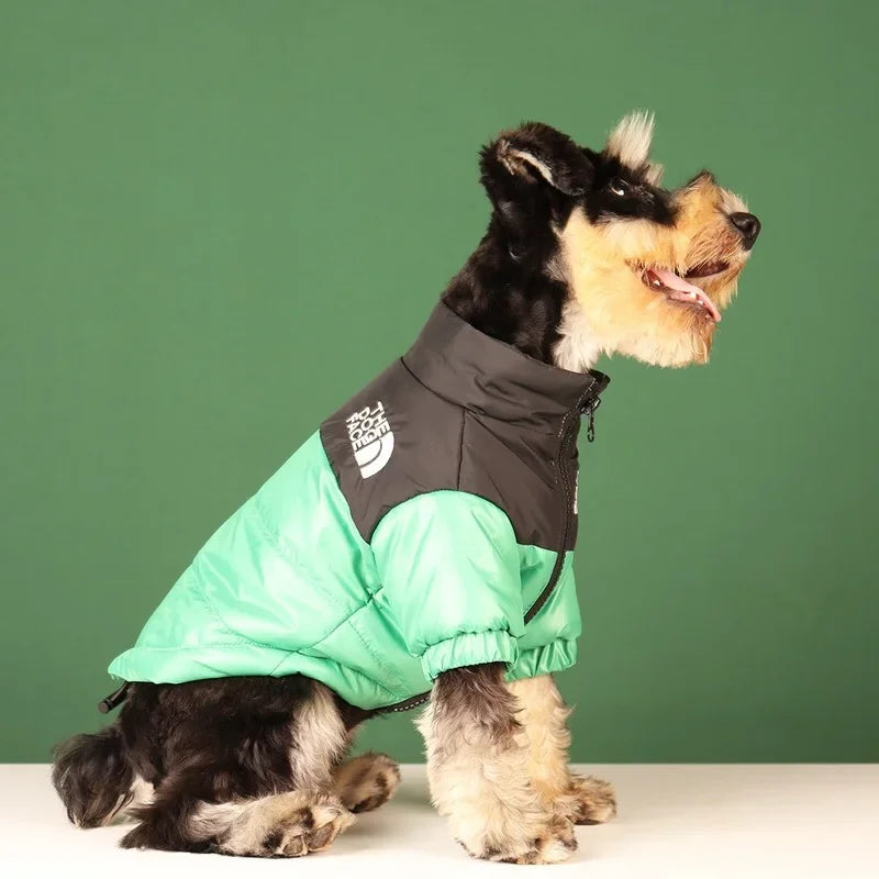 Winter Pup Jacket