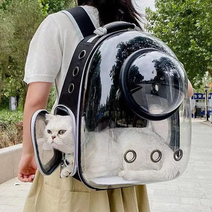 Stylish Pet Transport Backpack