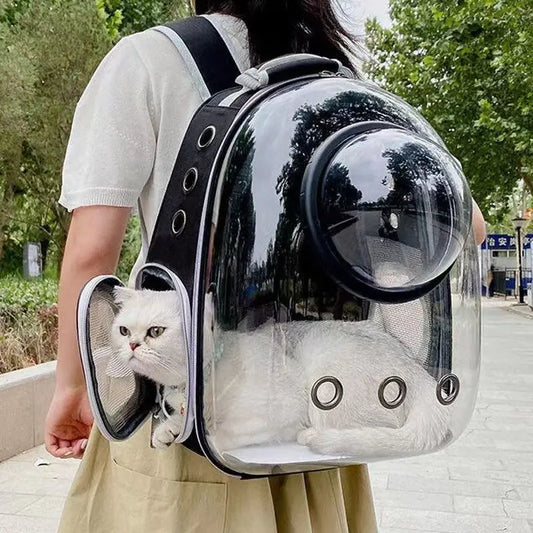 Stylish Pet Transport Backpack