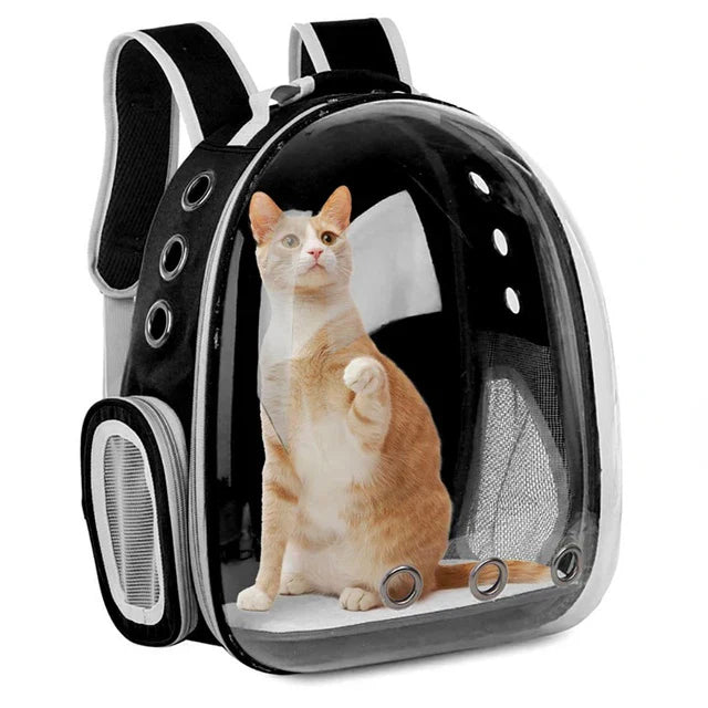 Stylish Pet Transport Backpack