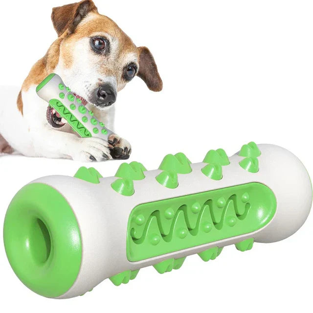 Dog Toothbrush Toy