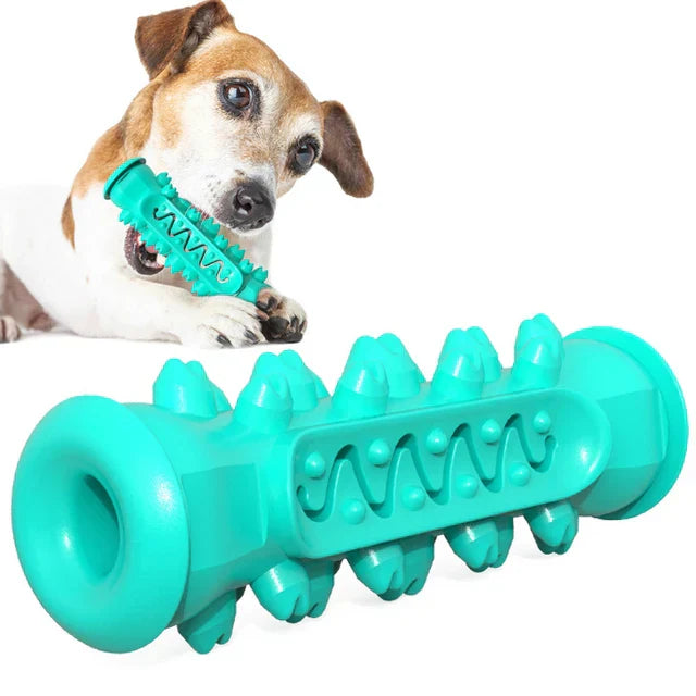 Dog Toothbrush Toy