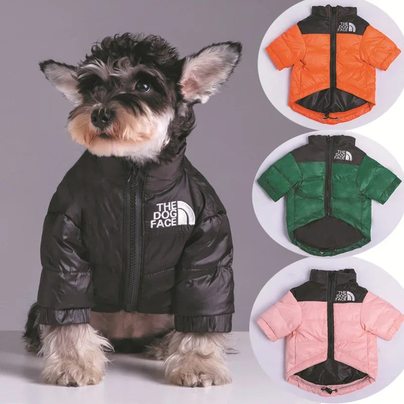 Winter Pup Jacket