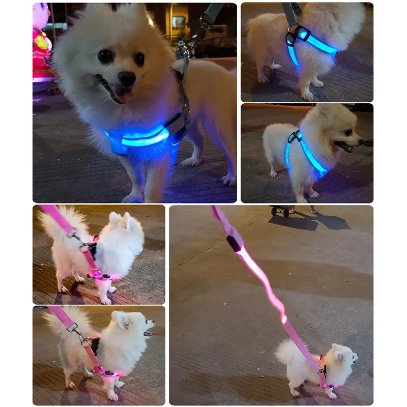 Night Safety Dog Harness