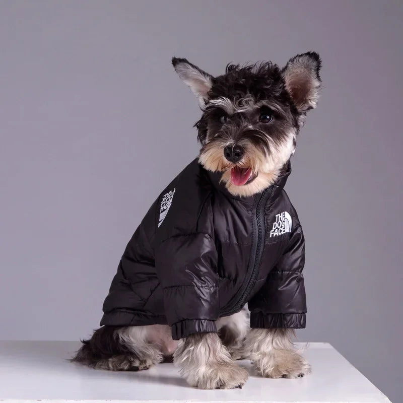 Winter Pup Jacket