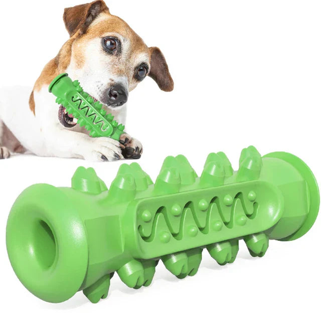 Dog Toothbrush Toy