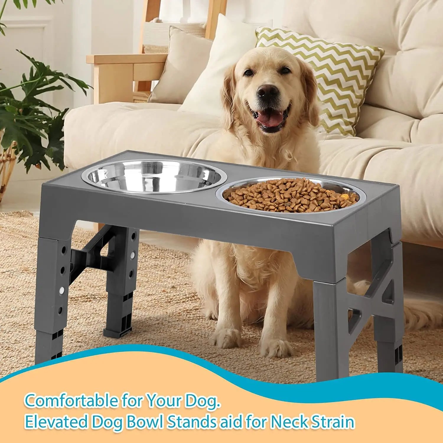 Elevated Dog Feeding Station